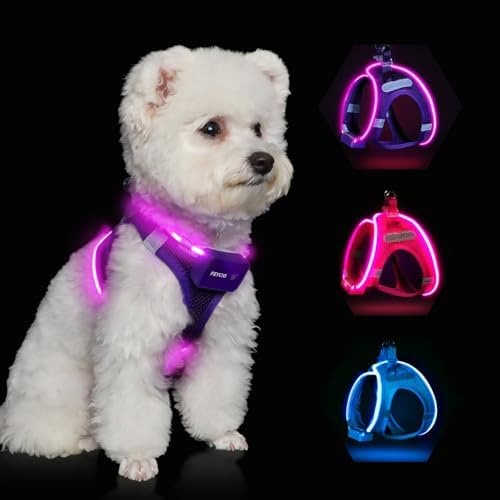 Light Up Dog Harness,Rechargeable LED Dog Harness for Small Medium Dogs by FEYCIG