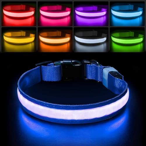 PcEoTllar Light up Dog Collar, Safe for Night Walking, Adjustable, Blue, M by PcEoTllarPetSupplies