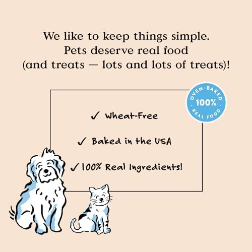 Bocce's Bakery Phantom Feast Flavor Soft & Chewy Halloween Dog Treats, 6 oz - Image 3