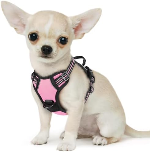 Eagloo Dog Harness for Small Dogs, No Pull Pet Vest with 2 Leash Clips by GoExplorewithEagloo