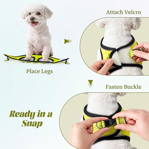 No Pull Dog Puppy Harness and Leash Set Reflective Mesh Vest X-Small - Image 4