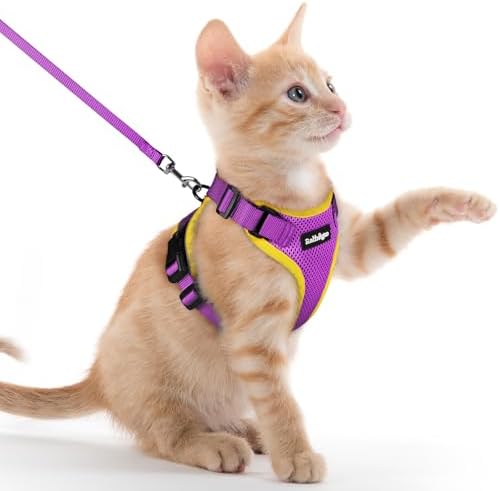 rabbitgoo Cat Harness and Leash Set, Escape Proof Vest, Purple & Yellow by rabbitgoo