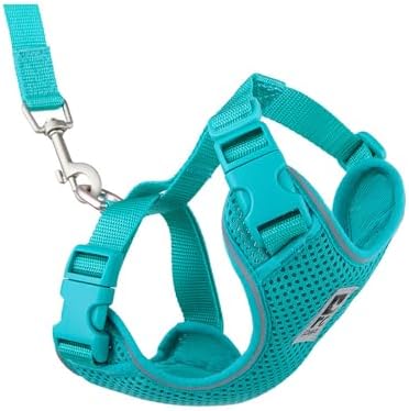 RC Pets Adventure Kitty Harness Includes Adjustable, Airmesh Fabric, 6' Leash and D-Ring Cat Walking Harness | Teal, Medium by RCPets