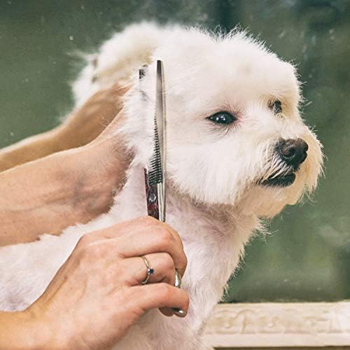 Gimars 7.0in Professional 4CR Stainless Steel Safety Round Tip 6 in 1 Dog Grooming Scissors Heavy Duty Titanium Coated Pet Grooming Scissor for Dogs, Cats and Other Animals - Image 6
