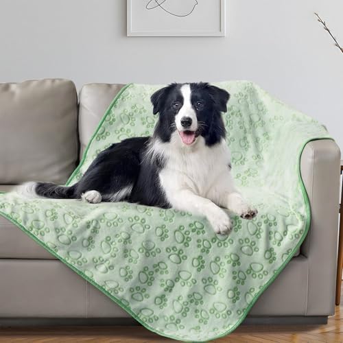Stuffed Premium Green Soft Dog Blanket, with Flannel Green Cute Paw Print, Puppy Supplies Dog Stuff Essentials, 43 * 66 inches for Large Dogs by STUFFED