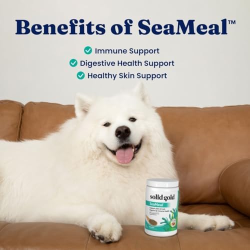 Solid Gold Dog & Cat Multivitamin Powder, Omega 3 & Kelp, Skin & Coat, 1LB - Image 4