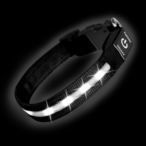 Super Bright LED Dog Collar, Waterproof Light up Collars(White, Medium) by PetIsay