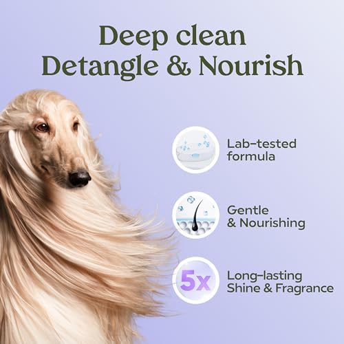 PAWFUME Dog Shedding Shampoo and Conditioner, Royal Lavender, 1-Pack - Image 5
