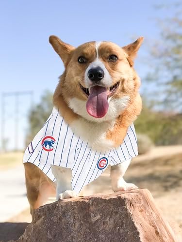 Official MLB Chicago Cubs Pet Jersey for Dogs & Cats, Size 3X-Large - Stylish Baseball Jersey for Your Furry Fan- Show Off Team Spirit with The Perfect Fan Apparel Gear for Pet, Dog & Cat - Image 6