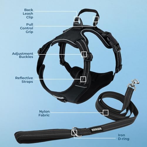 Voyager Dog Harness Dual Leash Attachment No-Pull Control Adjustable Soft but Strong Pet Harness for Medium and Large Dogs with 3M Reflective Technology, Leash Set Black Nylon, XL (Chest: 28-37") - Image 3
