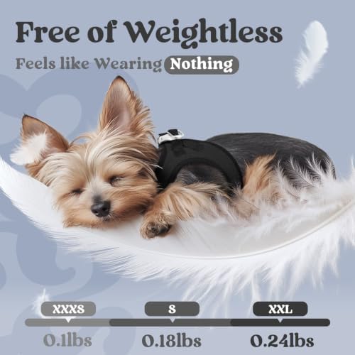rabbitgoo Step-in Small Dog Harness, Puppy Vest for Medium Sized Pet - Image 5