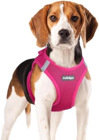 rabbitgoo Step-in Small Dog Harness, Puppy Vest for Small Medium Sized Pet by rabbitgoo