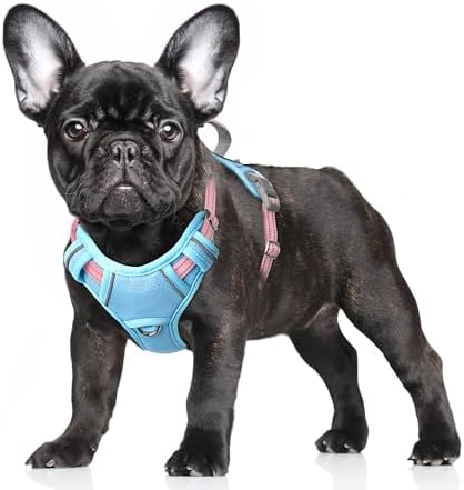 BARKBAY Dog Harness for Small Sized Dog No Pull Dog Vest ID Tag Pocket by BARKBAY