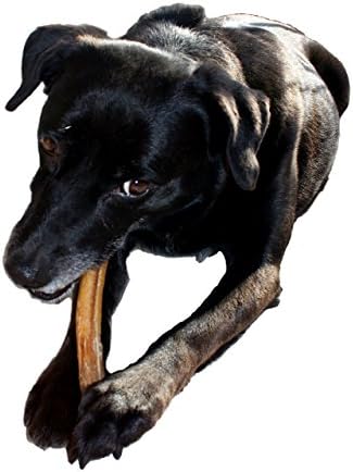 Standard Thickness Bully Sticks (6 inch, 50-Pack) - All Natural, Grass-Fed, Non-GMO 100% Beef Pizzle Dog Chews, Fully Digestible, Dental Treats for Puppies, Medium & Small Dogs (6"-50pk) - Image 5