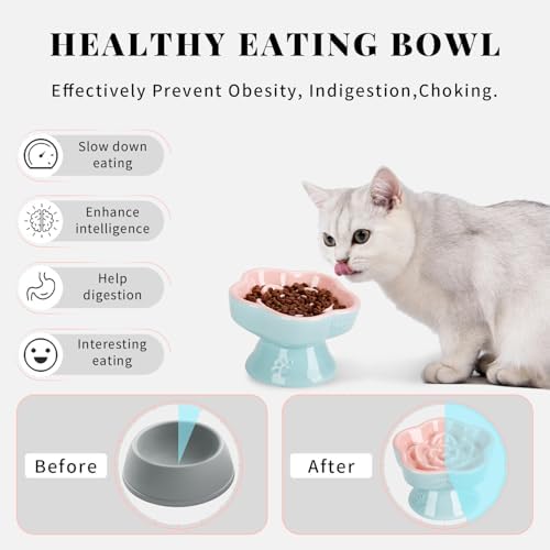 S&Q's CERAMICS Raised Slow Feeder Cat Bowl, Ceramic Elevated and Titled Glass Food Bowl Small Dogs Slow Feeder, Flower Shaped Cute Cat Dish for Dry and Wet Food (Pink, 5.8") - Image 3