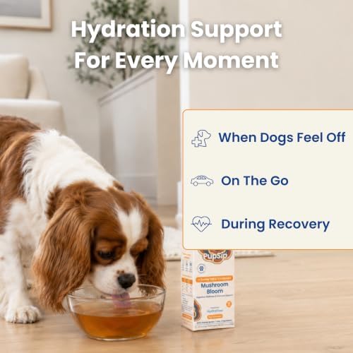 Dog Hydration Support – Helps During Stomach Upset, Vomiting & Diarrhea – Restores Appetite & Boost Energy with Electrolytes and Turkey Tail Mushroom, 14 Sticks - Image 6