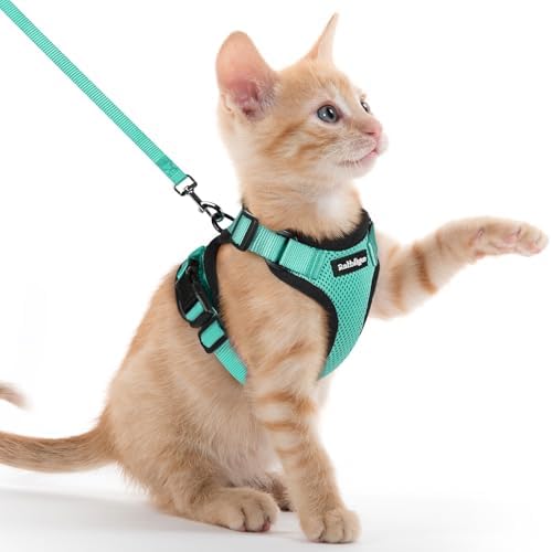 rabbitgoo Cat Harness and Leash Set, Escape Proof Vest, Emerald by rabbitgoo