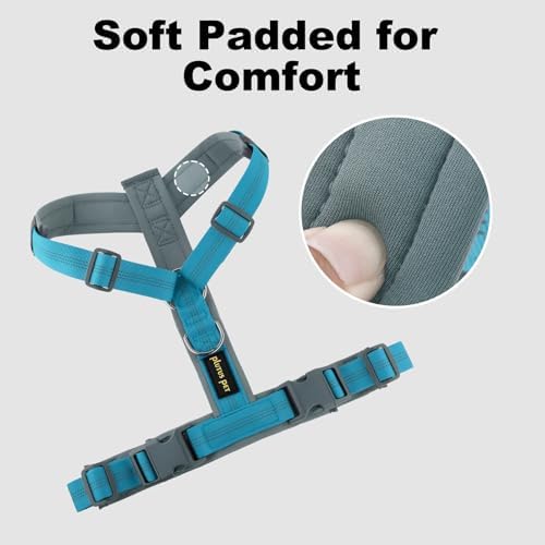 Plutus Pet No Pull Dog Harness, Adjustable Nylon Harness with Soft Padding - Image 3