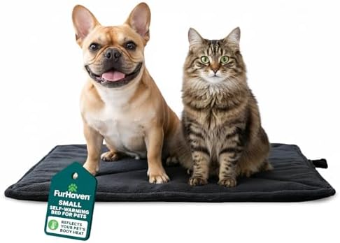 FurHaven ThermaNAP Self Warming Cat Mat, Dog Bed for Crates with Self-Warming Technology for Cozy Rest, Fully Machine Washable, Small, Plush Faux Fur, Black by FurHaven