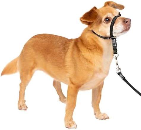 PetSafe Gentle Leader No Pull Dog Headcollar, Black, Petite by PetSafe