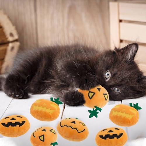 6pcs Halloween Pumpkin Catnip Toy，Hallowen Indoor Pumpkin Shaped Cat Toy Plush Interactive Chew Bite Toys for Cat Kitten Indoor Festive Holiday Cat Lover Gift - Image 5
