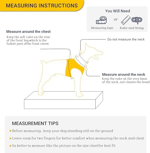 Dog Harness and Leash Set, Adjustable Dog Harness, Dog Leash, No Pull No Choke Puppy Harnesses for Walking Training for Small Medium Pet - Image 6