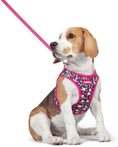 rabbitgoo Dog Harness Medium Sized and Leash Set, Step-in Puppy Pet Vest by rabbitgoo