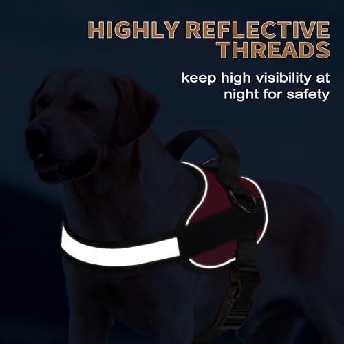 Haapaw Essential Dog Harness, No Pull Pet Vest with 3 Leash Clips, No Choke, Reflective, Adjustable and Padded, for Easy Walking and Training for Large Dogs(L, Red) - Image 4