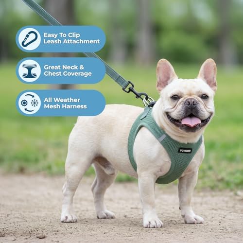 Best Pet Supplies Voyager Step-in Air All Weather Mesh Harness and Reflective Dog 5ft Leash Combo with Neoprene Handle, for Small, Medium and Large Breed Puppies - Moss Green, XXS - Image 2