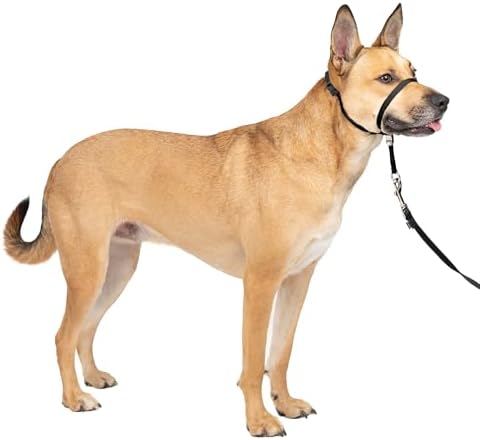 PetSafe Gentle Leader No Pull Dog Headcollar, Black, Medium by PetSafe