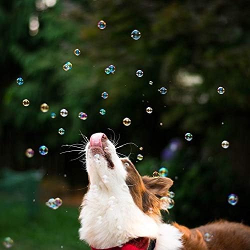 Pet Qwerks Incredibubbles Interactive Pet Toys - Long Lasting Edible Bubbles for Dogs & Cats - Peanut Butter Flavor - 38 ML, All Breed Sizes (Pack of 2) - Image 5