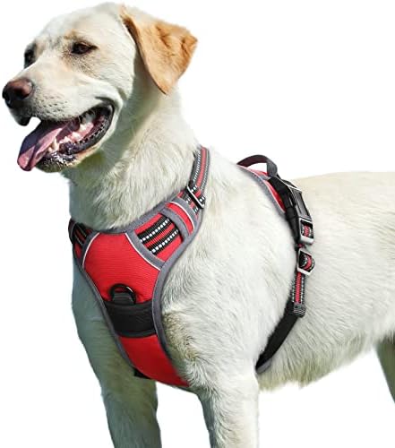 Eagloo Dog Harness for Large Dogs, No Pull Pet Vest with 2 Leash Clips by GoExplorewithEagloo