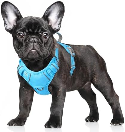 BARKBAY Dog Harness for Small Sized Dog No Pull Dog Vest ID Tag Pocket by BARKBAY