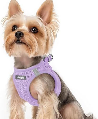 rabbitgoo Step-in Small Dog Harness, Puppy Vest for Small Sized Pet by rabbitgoo