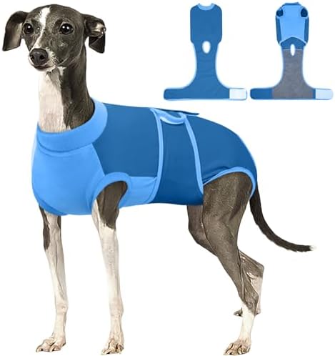 Kuoser Dog Recovery Suit, Female Male Spay Neuter Surgery Suit, Blue, L by Kuoser