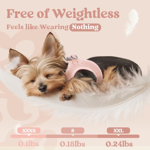 rabbitgoo Step-in Small Dog Harness, Puppy Vest for Medium Sized Pet - Image 4