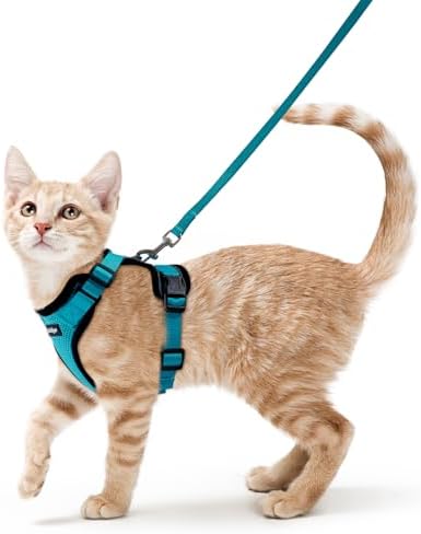 rabbitgoo Cat Harness and Leash Set, Escape Proof Vest, Teal by rabbitgoo