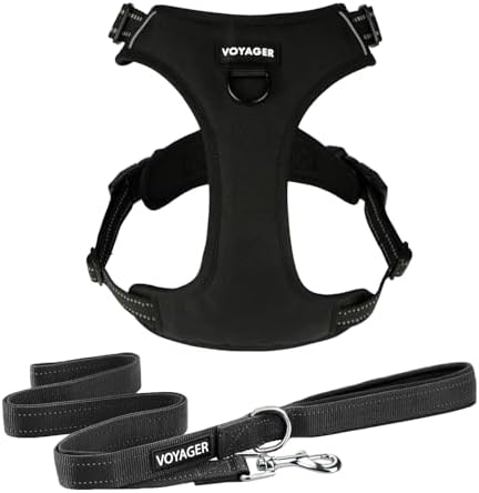 Voyager Dog Harness Dual Leash Attachment No-Pull Control Adjustable Soft but Strong Pet Harness for Medium and Large Dogs with 3M Reflective Technology, Leash Set Black Nylon, XS (Chest: 13-16") by BestPetSuppliesLLC