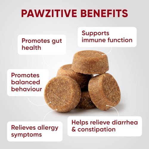 Probiotics for Dogs Digestive Health - Probiotic Chews for Gut Health, Itchy Skin Yeast, Diarrhea - USA Product - Immune Support Supplement - Dog Digestive Support & Allergy Relief Chews with Enzymes - Image 3