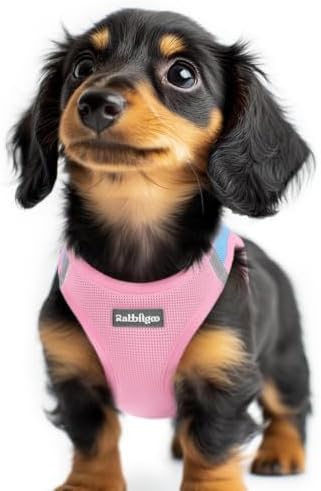 rabbitgoo Step-in Small Dog Harness, Puppy Vest for Small Sized Pet by rabbitgoo