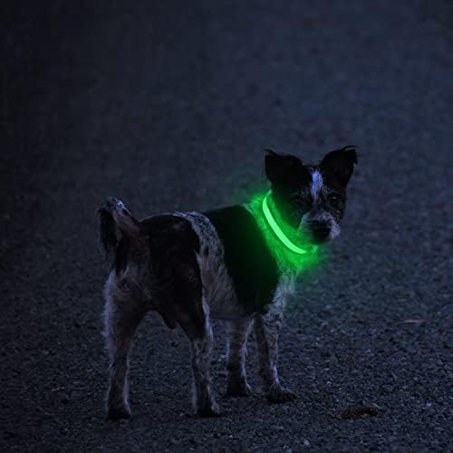 MASBRILL LED Dog Collar,Night Light Up Dog Collars Rechargeable Waterproof Glowing Dog Collar for Small Medium Large Dogs - Image 2
