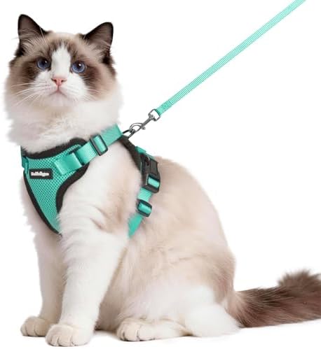 rabbitgoo Cat Harness and Leash Set, Escape Proof Vest, Emerald by rabbitgoo