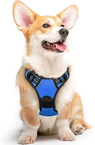 Eagloo Dog Harness for Medium Sized Dogs, No Pull Vest with 2 Leash Clips by GoExplorewithEagloo