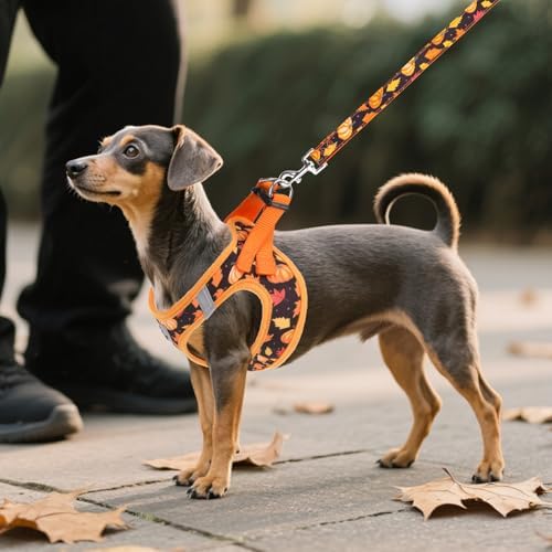 KOOLTAIL Fall Dog Harness and Leash Set for Small Medium Dogs, Thanksgiving Step in No Pull Comfort Padded Pet Vest, Adjustable Reflective Easy Walking Puppy Cats Harness Training, Leaf & Pumpkin M - Image 6