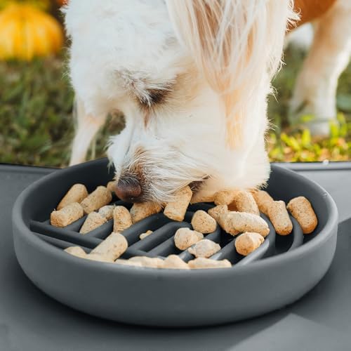 Slow Feeder Dog Bowl - Silicone Dog Bowl, Small, 6" x 1.25"- Charcoal - Image 5