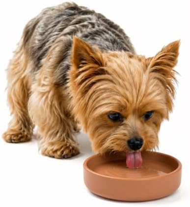 The Perfect Dish - Silicone Dog Bowl for Food & Water, 6"x1.25"-Terracotta by ShouldWeGo