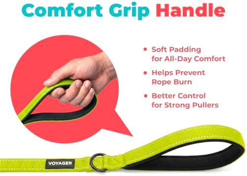 Best Pet Supplies Voyager Nylon Dog Leash - Lime Green, Large - Image 5
