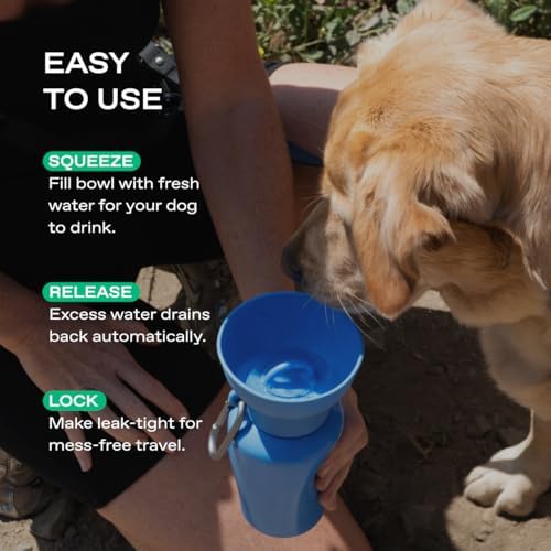 Springland Flip Portable Dog Water Bottle with Collapsible Bowl, Blueberry - Image 5