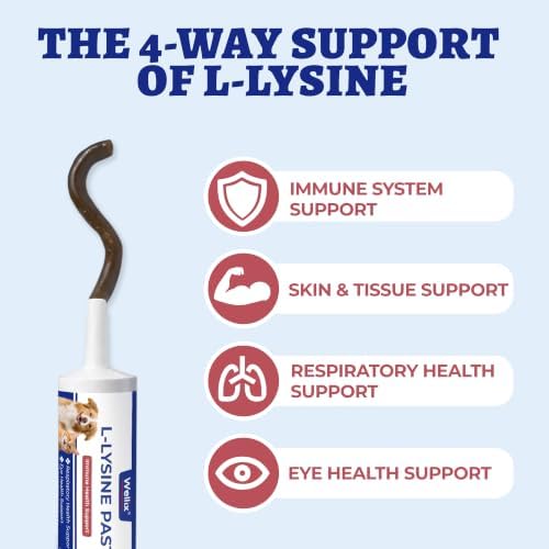 Wellix L-Lysine Paste for Cats & Dogs with Taurine & Vitamins 2oz - Image 4