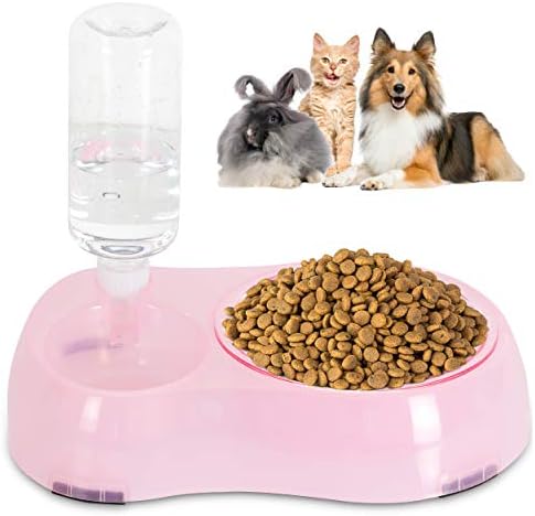 Slow Feeder Bowl, Elevated, Double Transparent for Cats, Small Dogs, Pet Automatic Water Feeder with Water Bottle by AANYPET